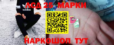 сатива Кинель