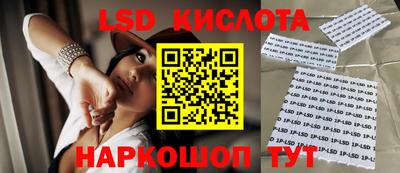 кокс Кингисепп