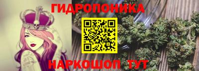 сатива Кинель