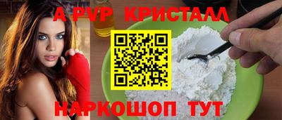 кокс Кингисепп