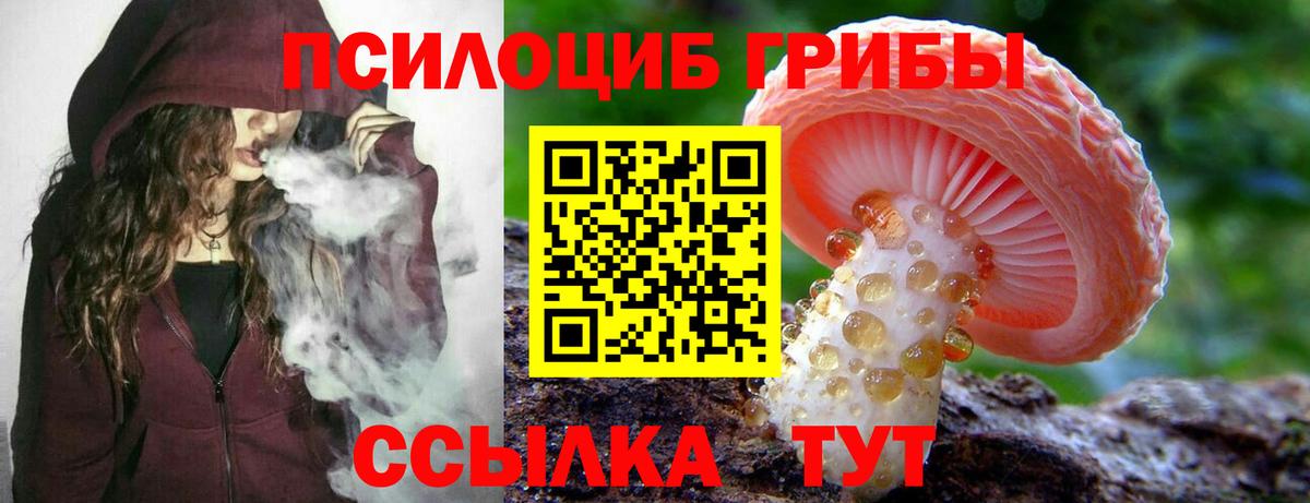 Бугуруслан  Псилоцибиновые грибы прущие грибы  Вход с VPN 